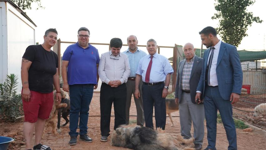Yeni projelerimiz var