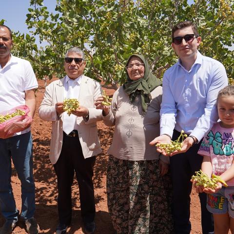 Barak Yıldızı Fıstık hasadı yapıldı